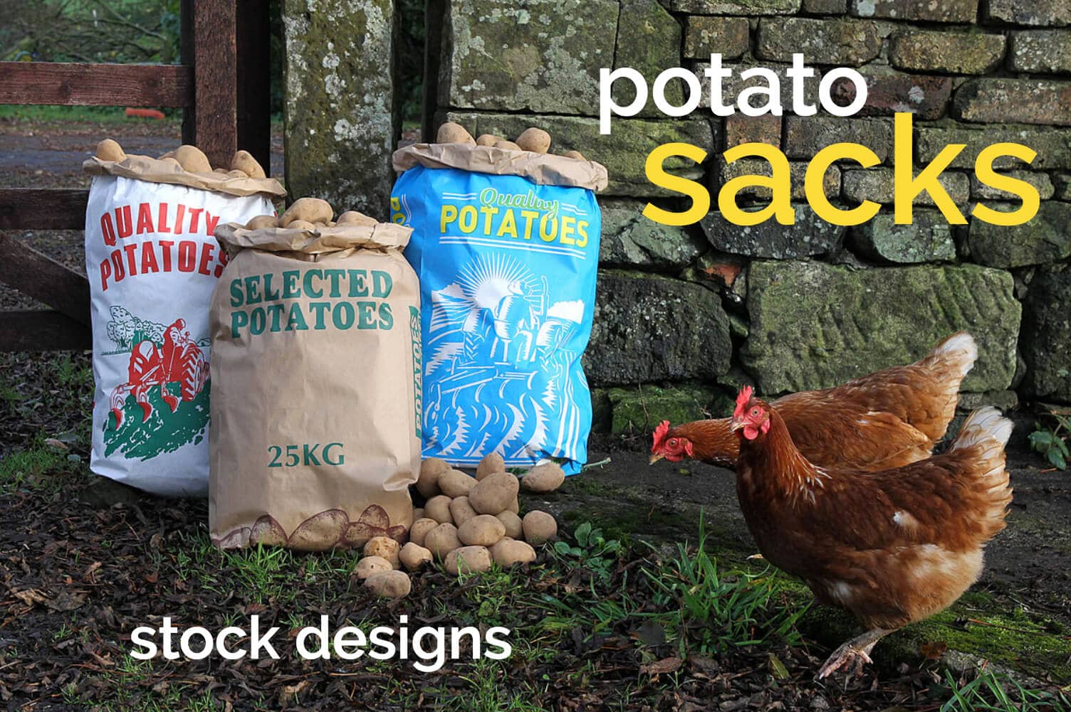 Creative website photo-shoot for Glasgow packaging company 3 Eikon Design Photography Shoot for Simpac Paper Sacks stock design photography